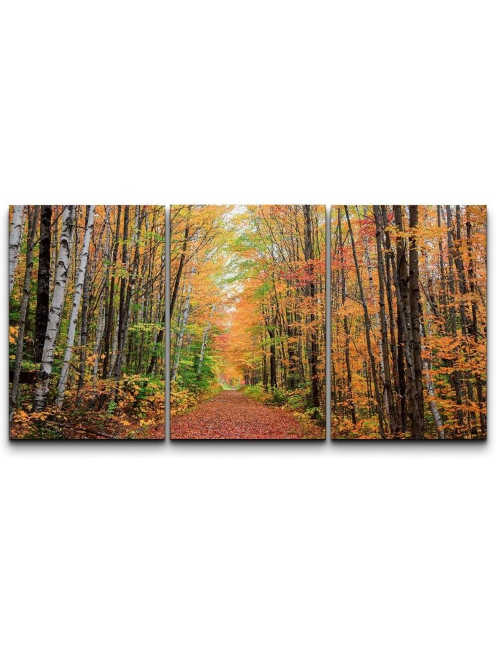 Autumn Forest Path Canvas Wall Art Set - Fall Foliage Trees, Rustic Decor